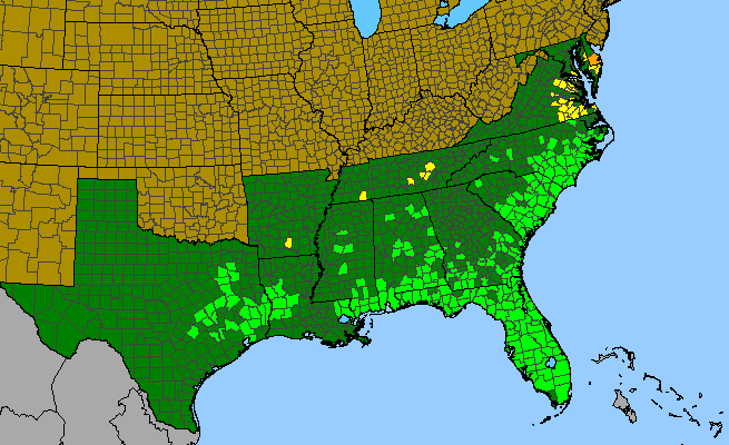 The range of Drosera capillaris